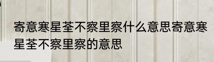 寄意寒星荃不察里察什么意思寄意寒星荃不察里察的意思