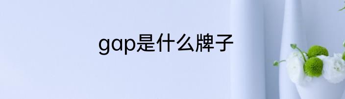 gap是什么牌子