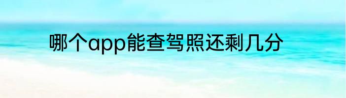 哪个app能查驾照还剩几分