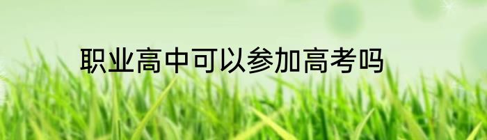 职业高中可以参加高考吗