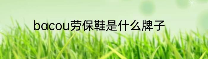 bacou劳保鞋是什么牌子