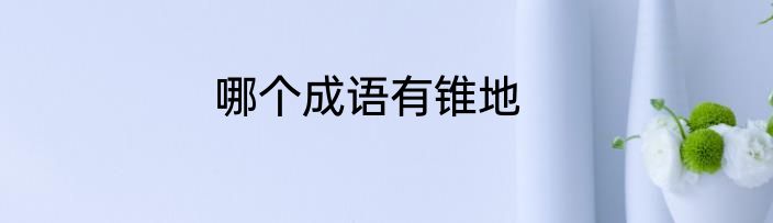 哪个成语有锥地