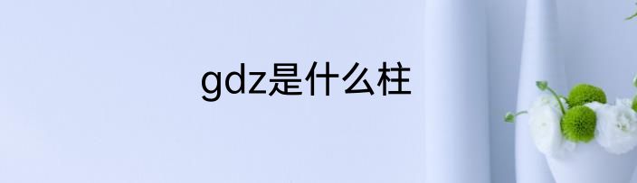 gdz是什么柱