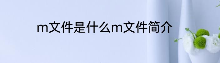m文件是什么m文件简介