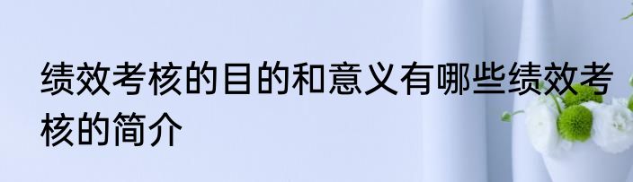 绩效考核的目的和意义有哪些绩效考核的简介