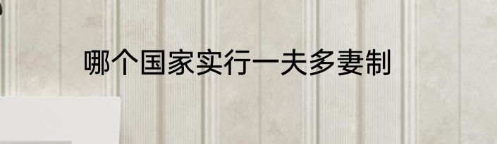 哪个国家实行一夫多妻制