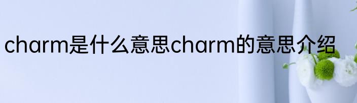 charm是什么意思charm的意思介绍