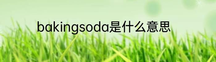 bakingsoda是什么意思