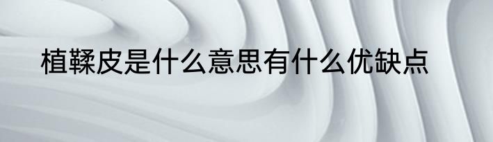 植鞣皮是什么意思有什么优缺点