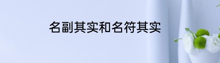 名副其实和名符其实