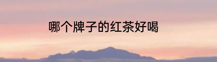 哪个牌子的红茶好喝