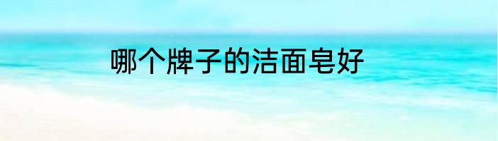 哪个牌子的洁面皂好