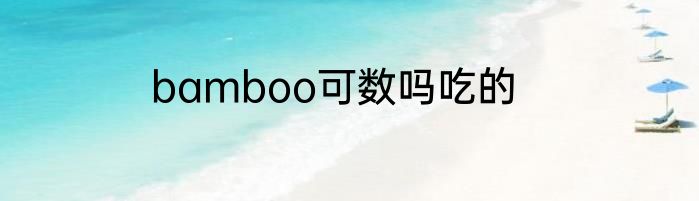 bamboo可数吗吃的