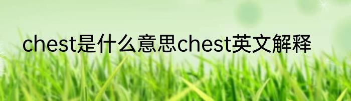 chest是什么意思chest英文解释
