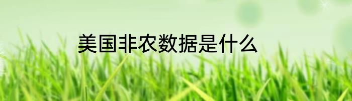 美国非农数据是什么