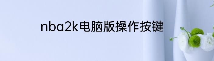 nba2k电脑版操作按键