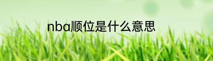 nba顺位是什么意思