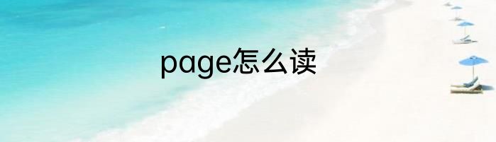 page怎么读