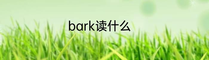 bark读什么