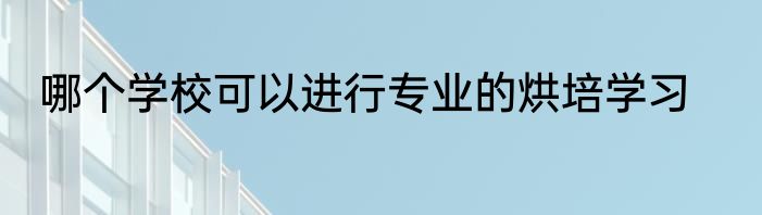 哪个学校可以进行专业的烘培学习
