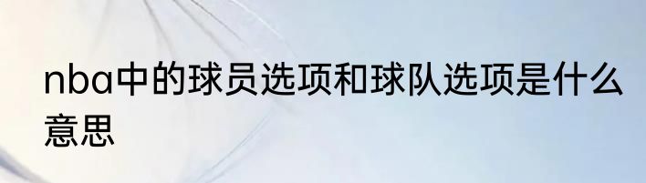 nba中的球员选项和球队选项是什么意思