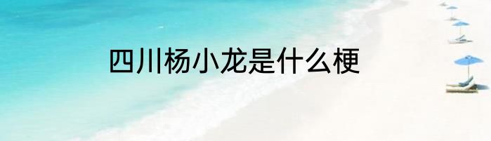 四川杨小龙是什么梗