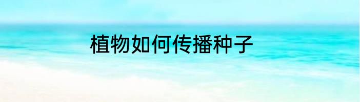 植物如何传播种子