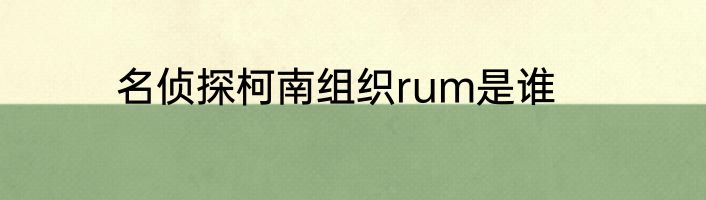 名侦探柯南组织rum是谁