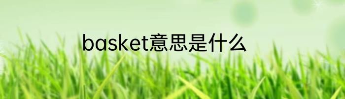 basket意思是什么