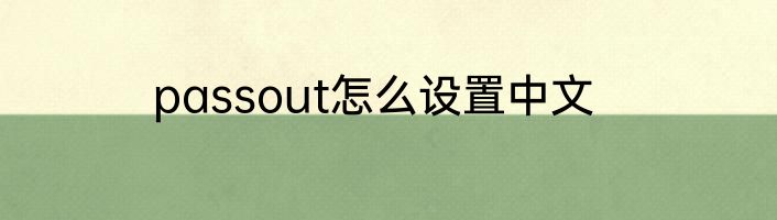 passout怎么设置中文