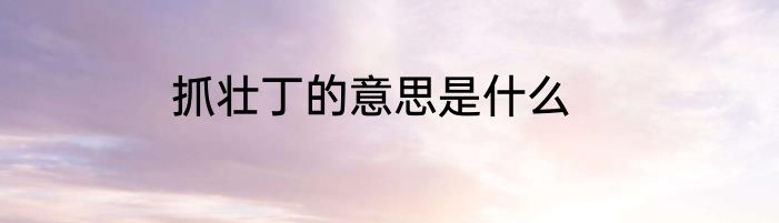 抓壮丁的意思是什么