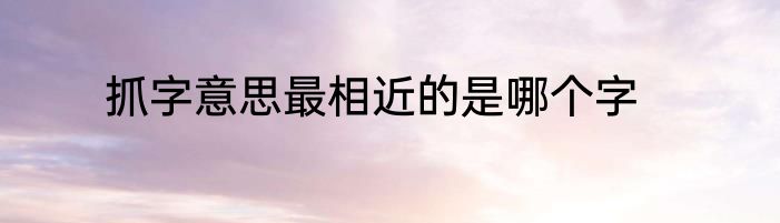 抓字意思最相近的是哪个字