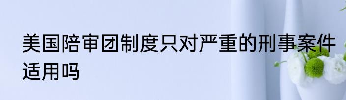 美国陪审团制度只对严重的刑事案件适用吗