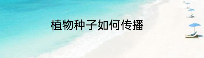 植物种子如何传播