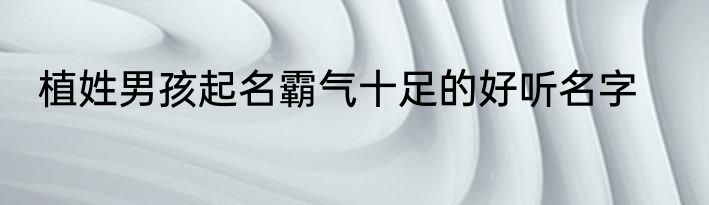 植姓男孩起名霸气十足的好听名字