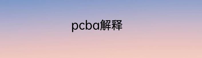 pcba解释