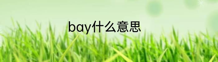 bay什么意思