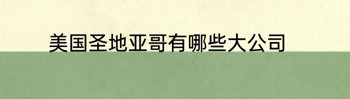 美国圣地亚哥有哪些大公司
