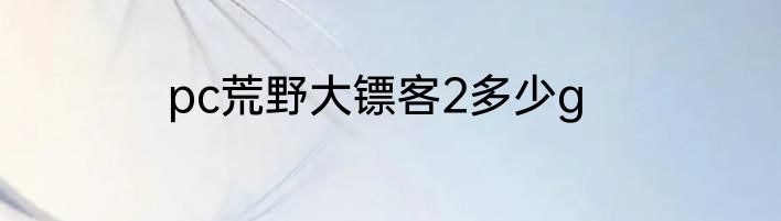 pc荒野大镖客2多少g