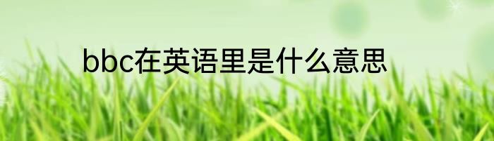 bbc在英语里是什么意思