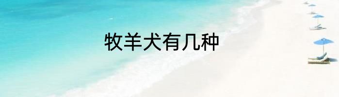牧羊犬有几种