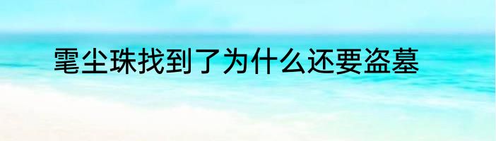 雮尘珠找到了为什么还要盗墓