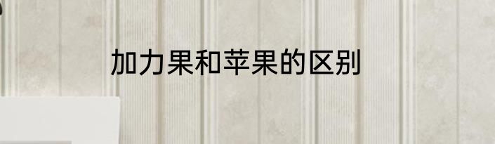 加力果和苹果的区别