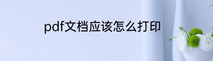 pdf文档应该怎么打印
