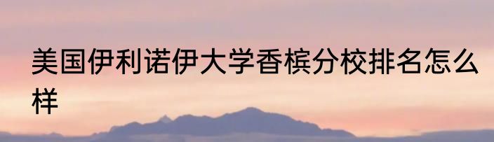 美国伊利诺伊大学香槟分校排名怎么样