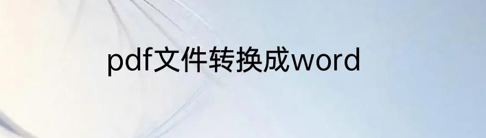 pdf文件转换成word