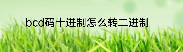 bcd码十进制怎么转二进制