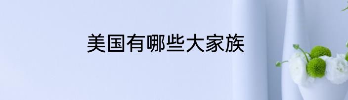 美国有哪些大家族