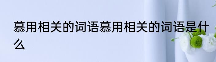 慕用相关的词语慕用相关的词语是什么