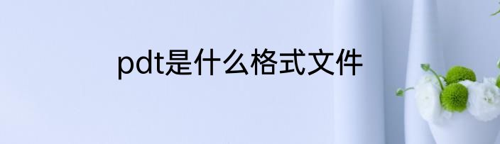 pdt是什么格式文件
